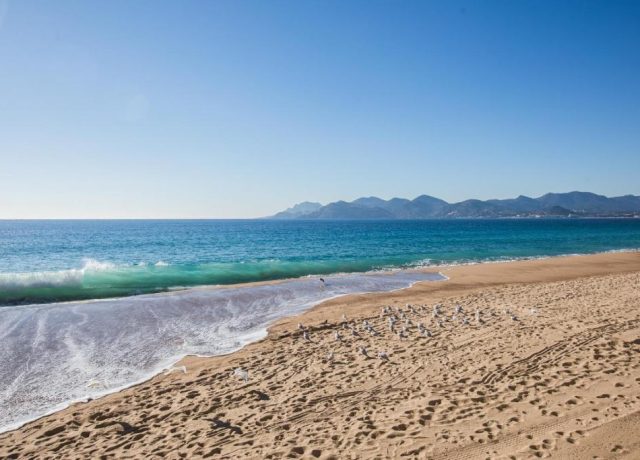 Plage du midi